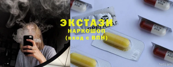ECSTASY Алзамай
