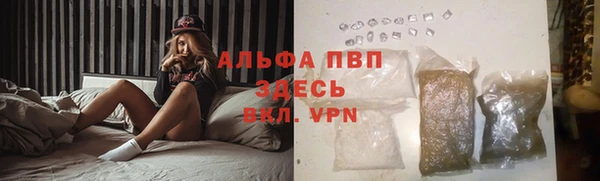 ECSTASY Алзамай