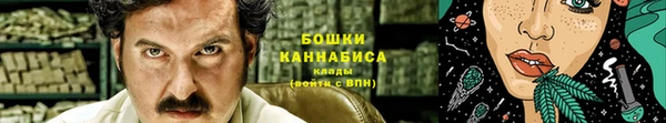 ECSTASY Алзамай