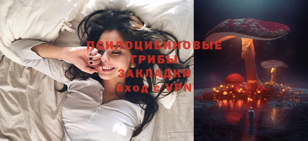ECSTASY Алзамай