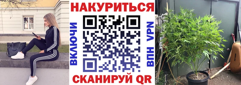 Шишки марихуана марихуана  Зверево 